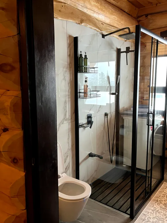 Шикарный дом из бревна