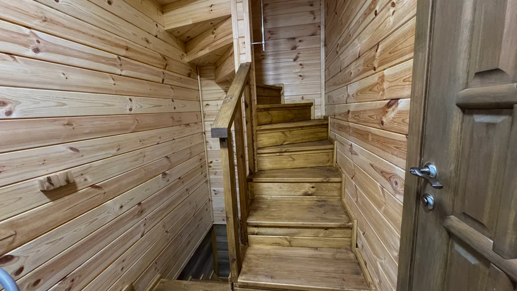 Дом Тихий Бор в березовом лесу