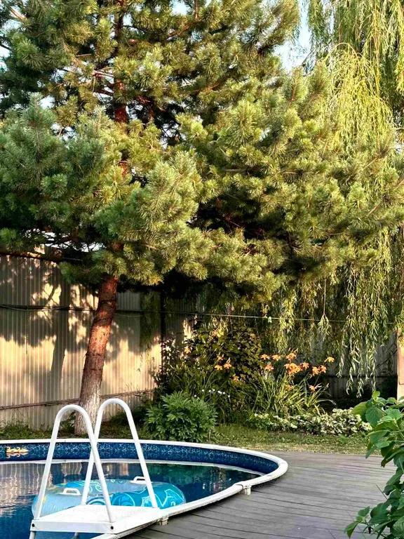 Уютный дом для идеального отдыха