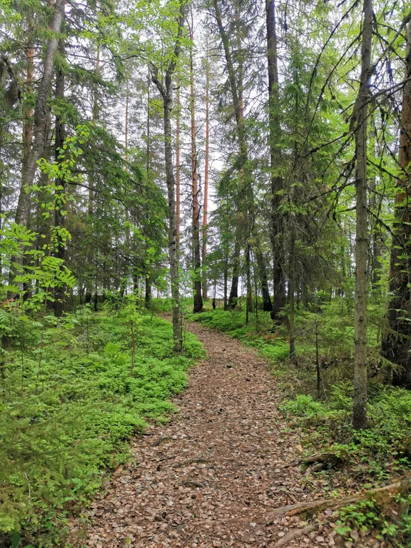 Коттедж Скандинавия - дом на берегу Онежского озера в 25 километрах от Петрозаводска — Деревянное