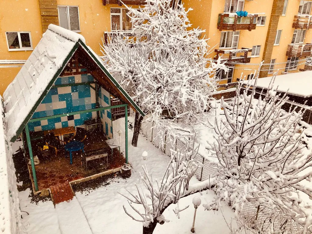 Уютные апартаменты в красной поляне