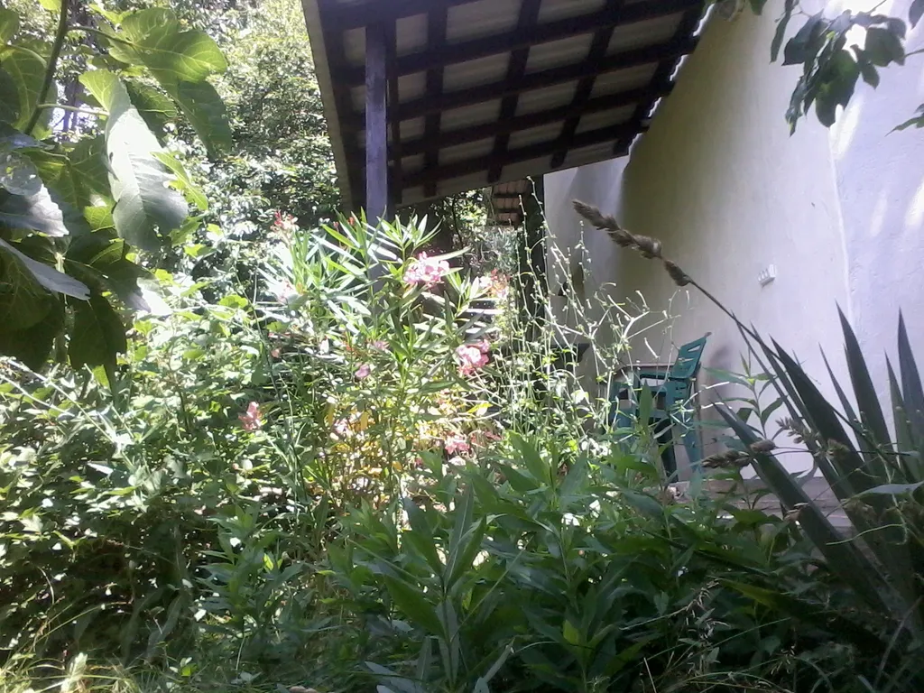 Коттедж Целый этаж в частном доме со своим садом и парковкой — Ялта