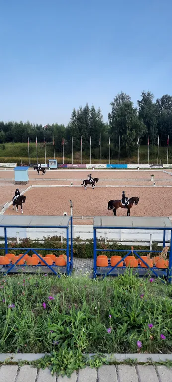 Уединенная часть дома с садом и барбекю