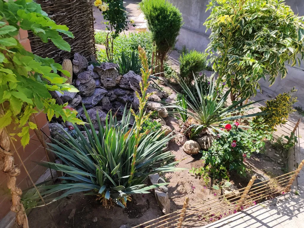 Уютный дом с зелёным двориком и зоной барбекю