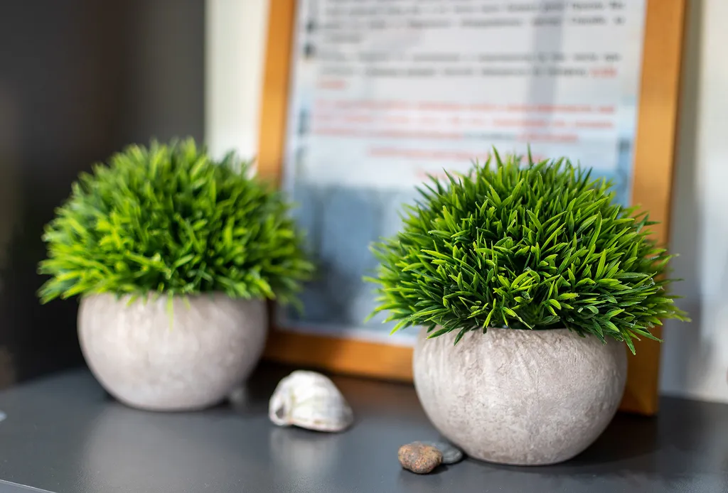 Дизайнерская студия в мкр Кудепста с парковкой