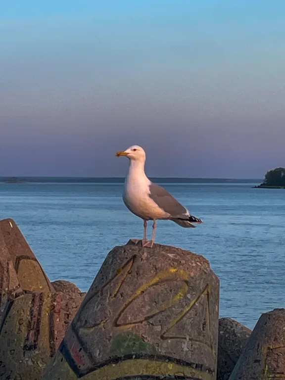 Квартира PillauHome с неповторимым видом