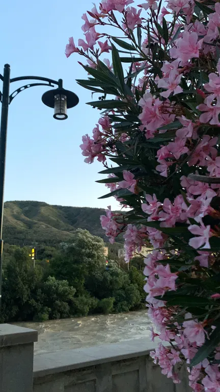 Апартаменты с видом на горы и реку