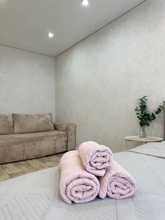 Уютная квартира рядом с Термами и ледовым дворцом