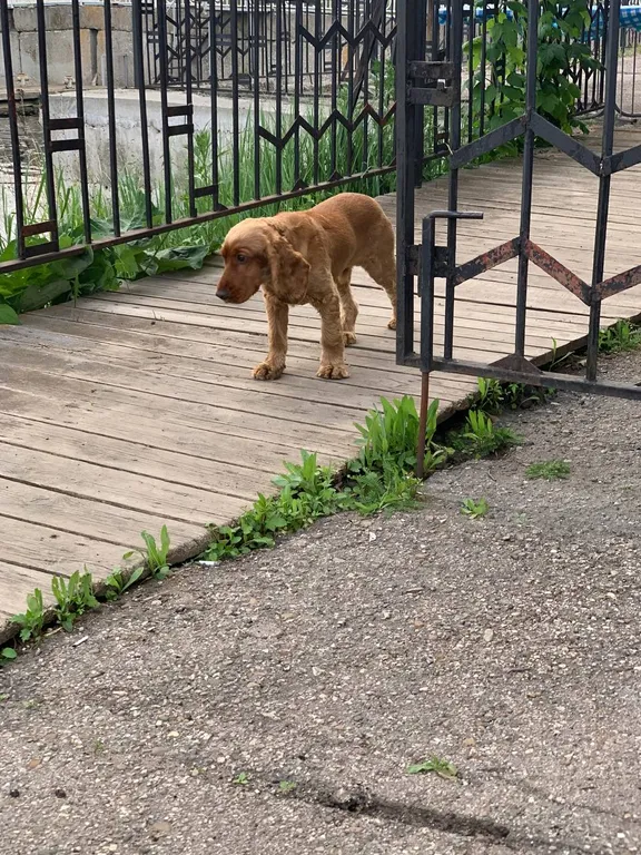 Уютный дом у реки с мангалом