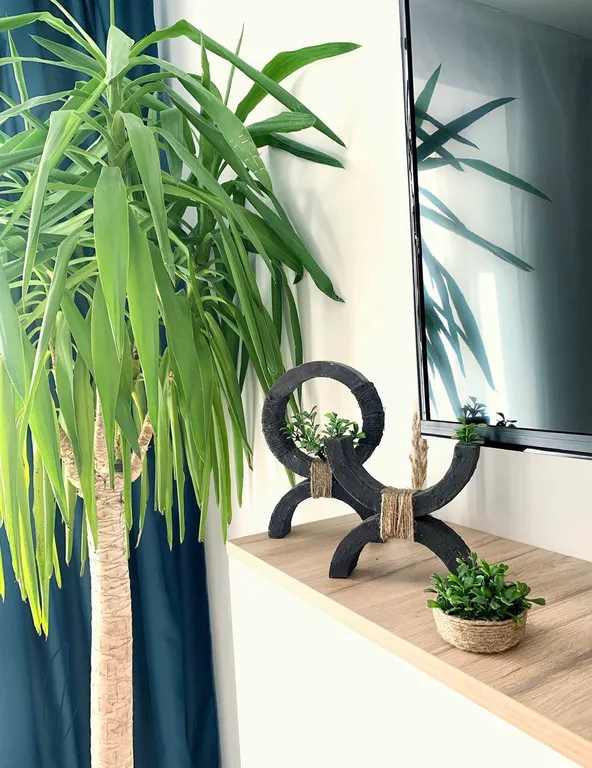 Квартира Апартаменты с отдельной спальней в стиле Бали — Калининград