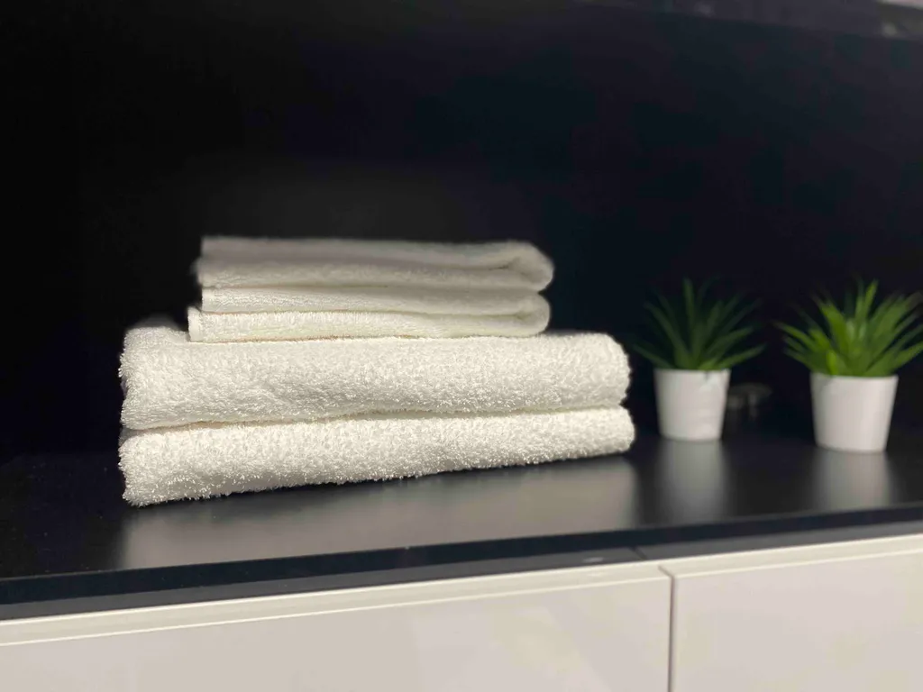 Квартира 1-комнатная Квартира — Светлогорск