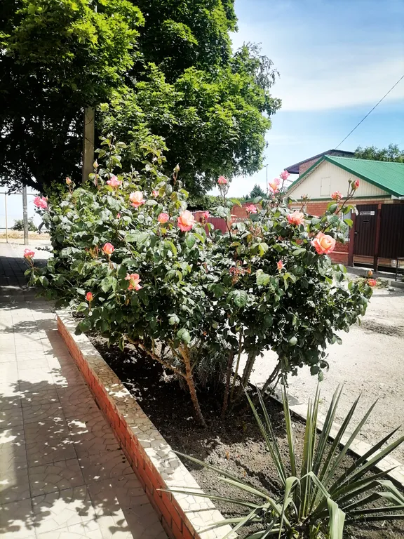 Коттедж Летний домик — Ейск