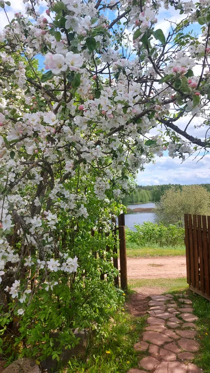 Дом с видом на озеро