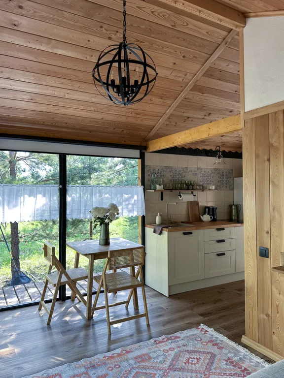 Шале посреди молодого сосново-березового леса