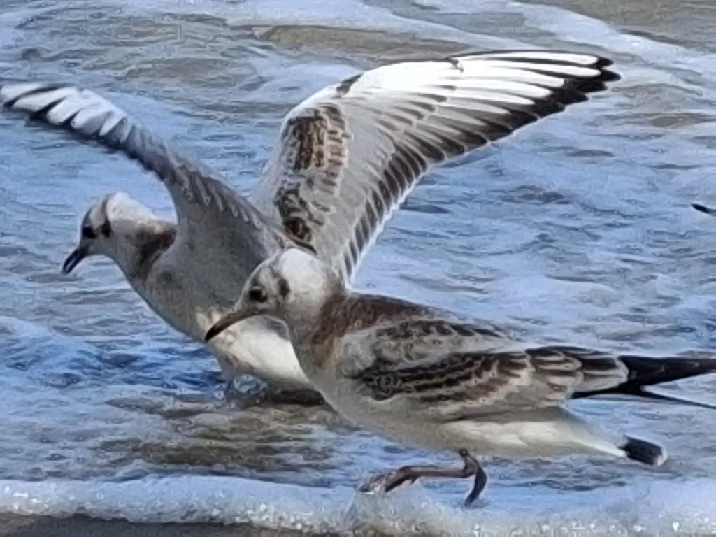 Квартира Квартира Light apartment — Светлый