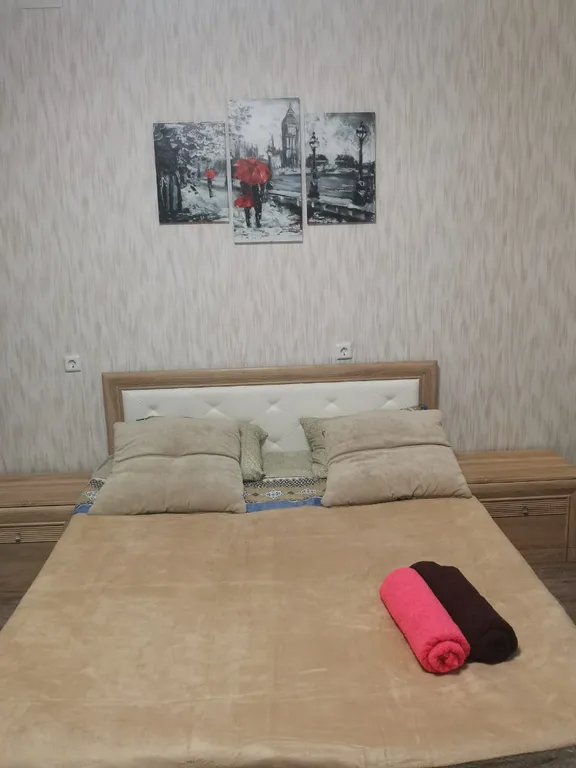 Квартира у Ледового дворца