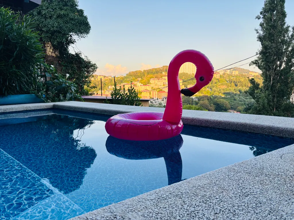 Квартира Шале студио с бассейном — аренда посуточно в Сочи