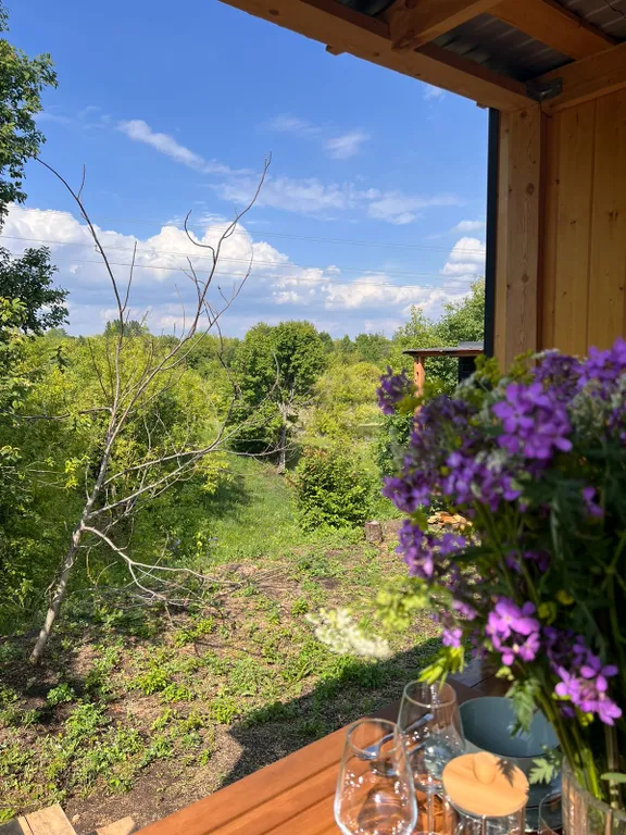 Эко дома Горыныч House рядом с Кудыкиной горой