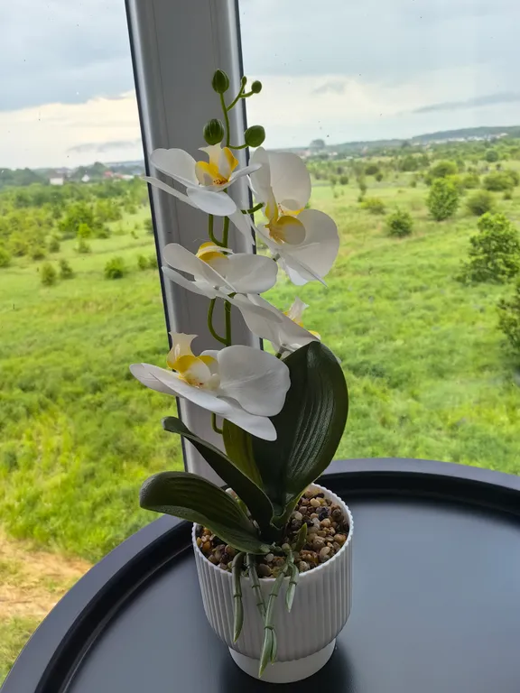 Апартаменты Mari