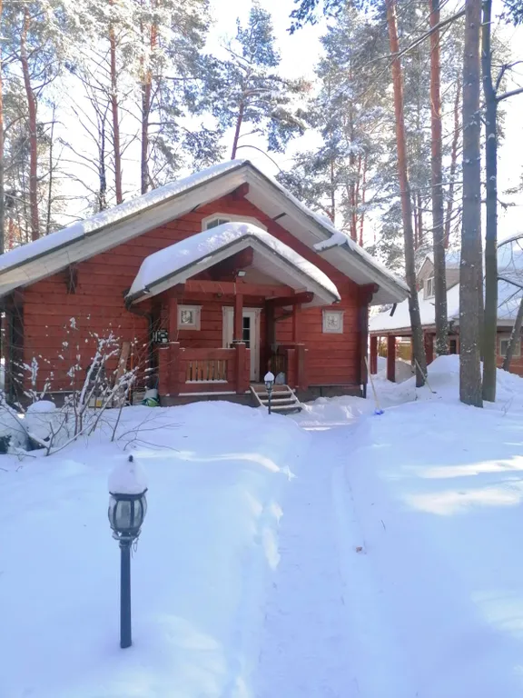 Уютный коттедж в сосновом лесу рядом с Москвой