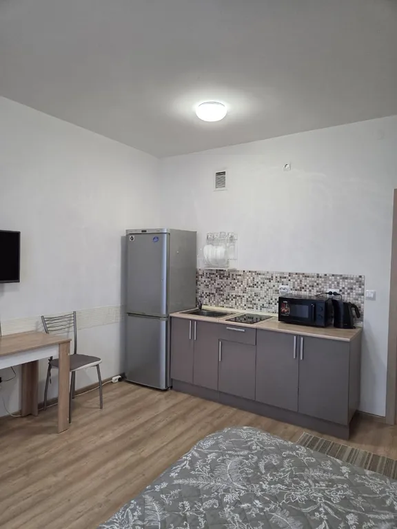 Уютная студия в Академическом районе