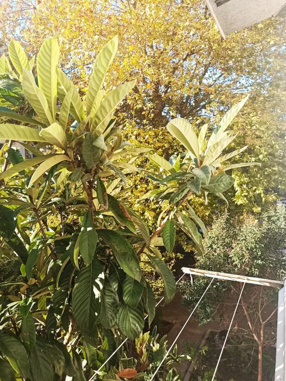 Квартира Уютная квартира в удобном месте — Адлер