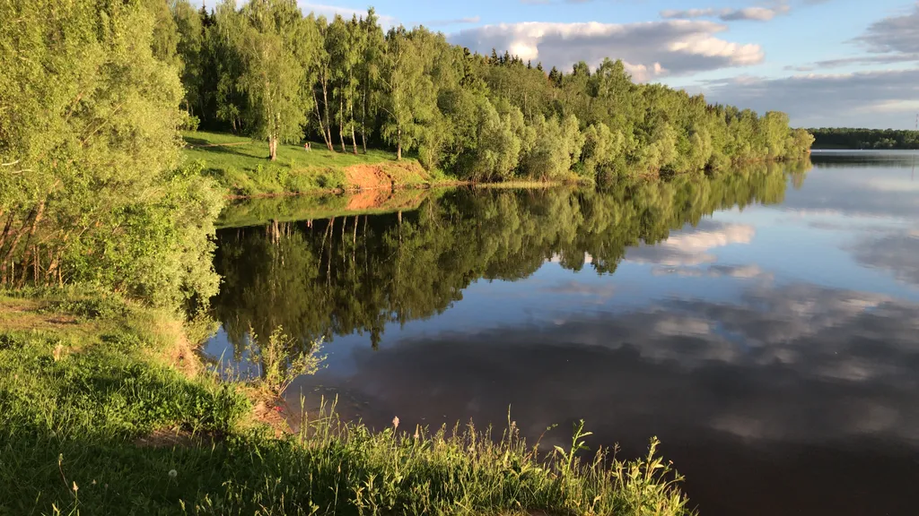 Коттедж Гостевой дом Дельфин — Можайск