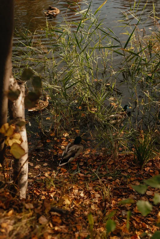 Атмосферная двухуровневая квартира с видом на Петропавловский парк