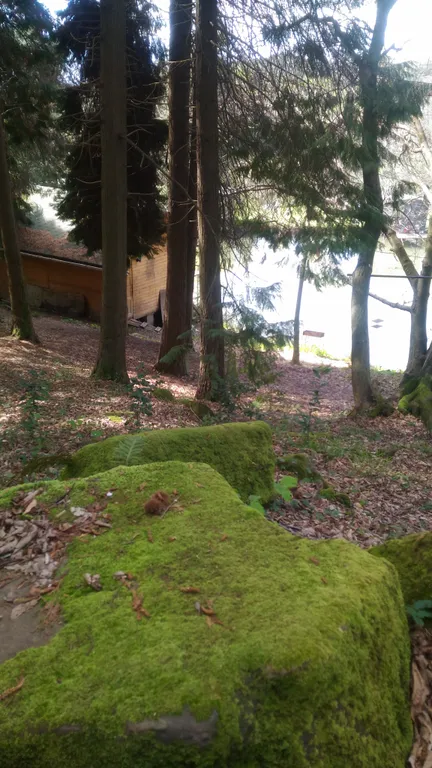 Дом на природе