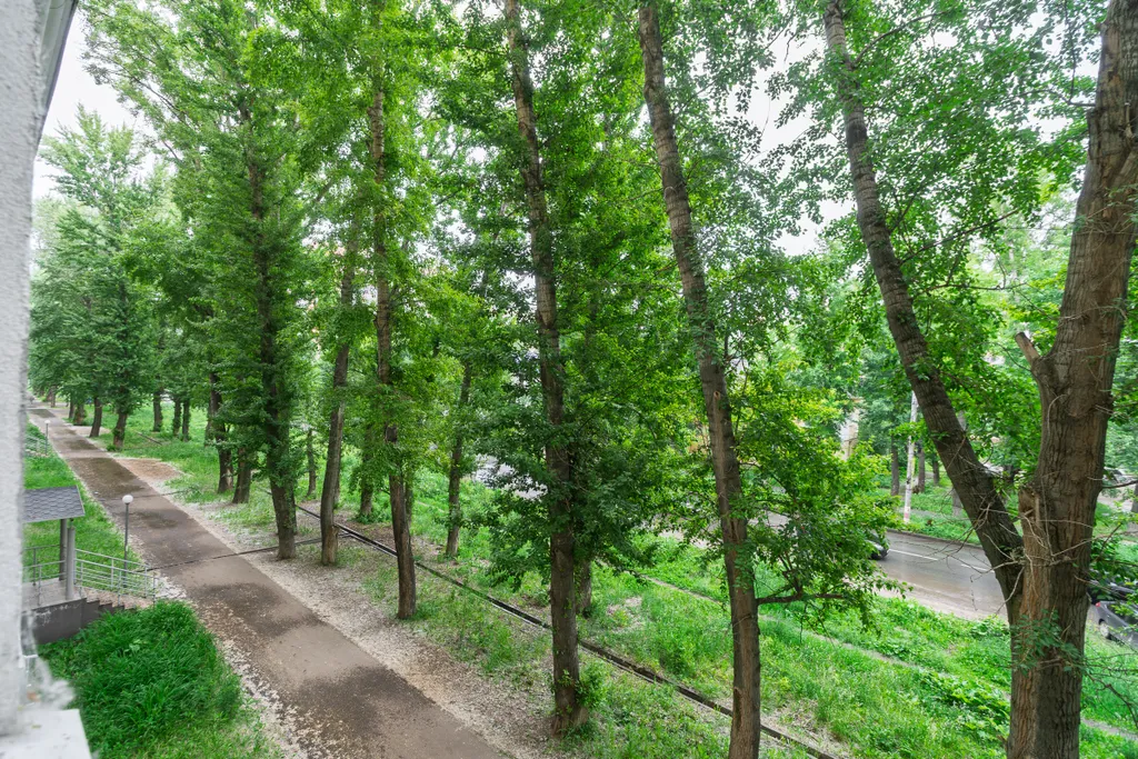 Уютная квартира недалеко от аэропорта