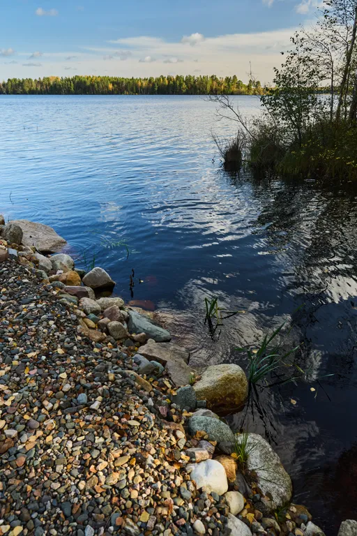 Дом в Карелии с видом на сосновый лес