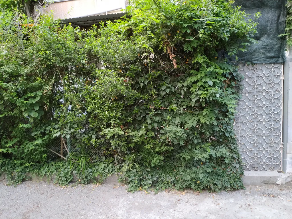 Квартира в 5 минутах от автовокзала