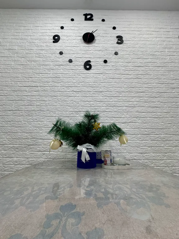 Двухкомнатная просторная квартира в центре города