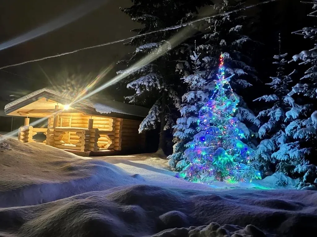 Загородный дом Царская усадьба