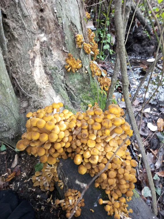 Дом возле моря