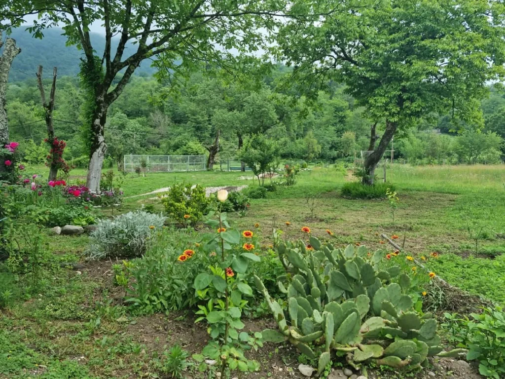 Дом для спокойного отдыха