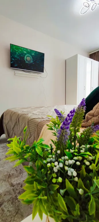 Апартаменты с бассейнами во дворе