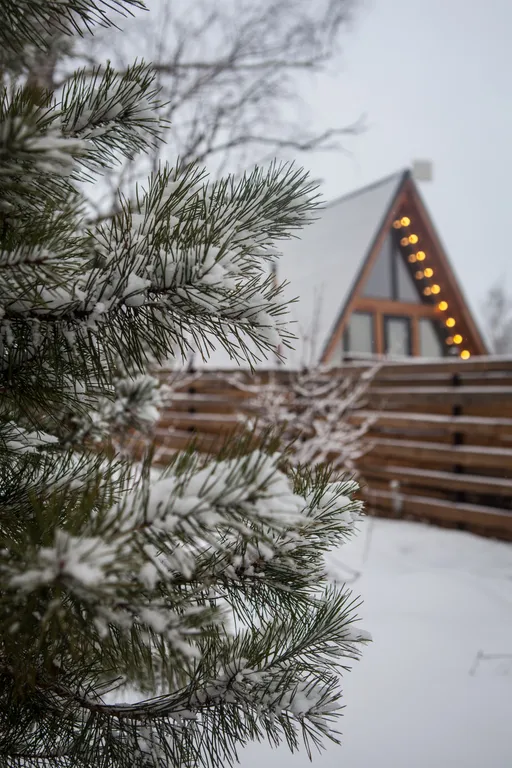 А-фрейм уютный домик у леса  с чаном