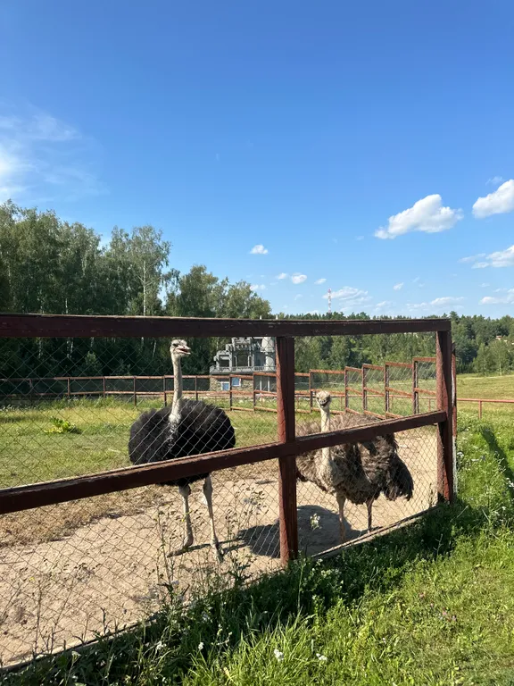 Дом у леса в Капитане