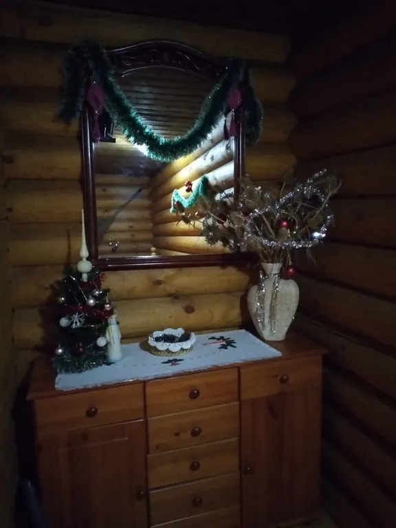 Коттедж Дом с баней и кухней — Бор