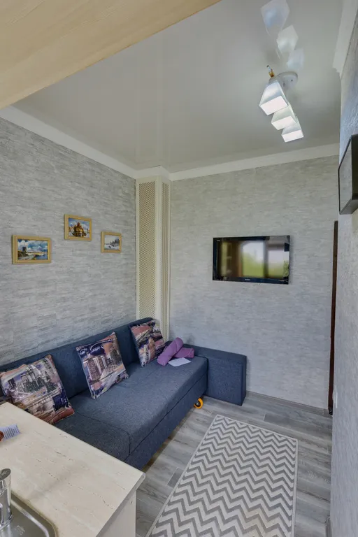 Уютная студия у метро