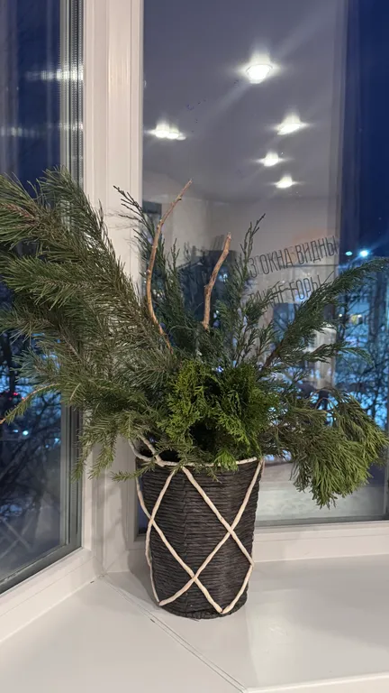 Вид на горы