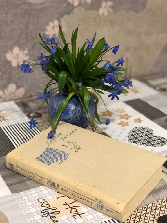 Апартамент Сергей Есенин