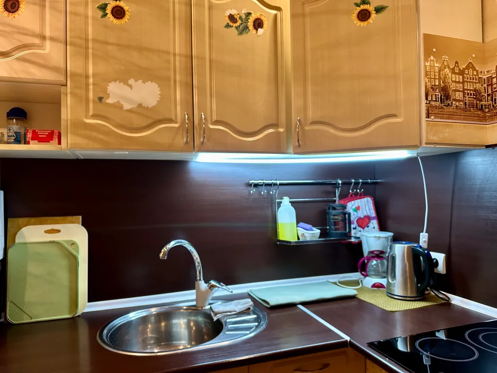 Уютная просторная студия