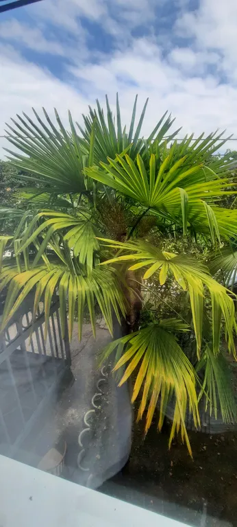 Дом под ключ