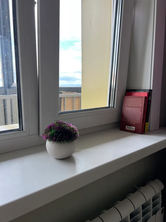 Студия с евроремонтом в самoм центре города с шикарным видом