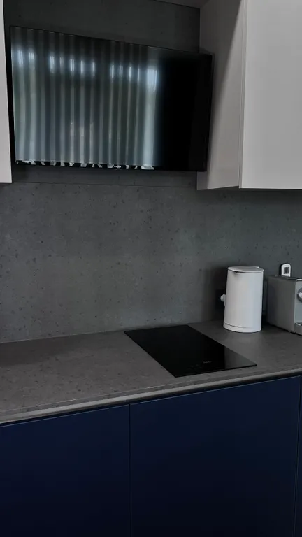 Квартира 1-комнатная Квартира — Светлогорск