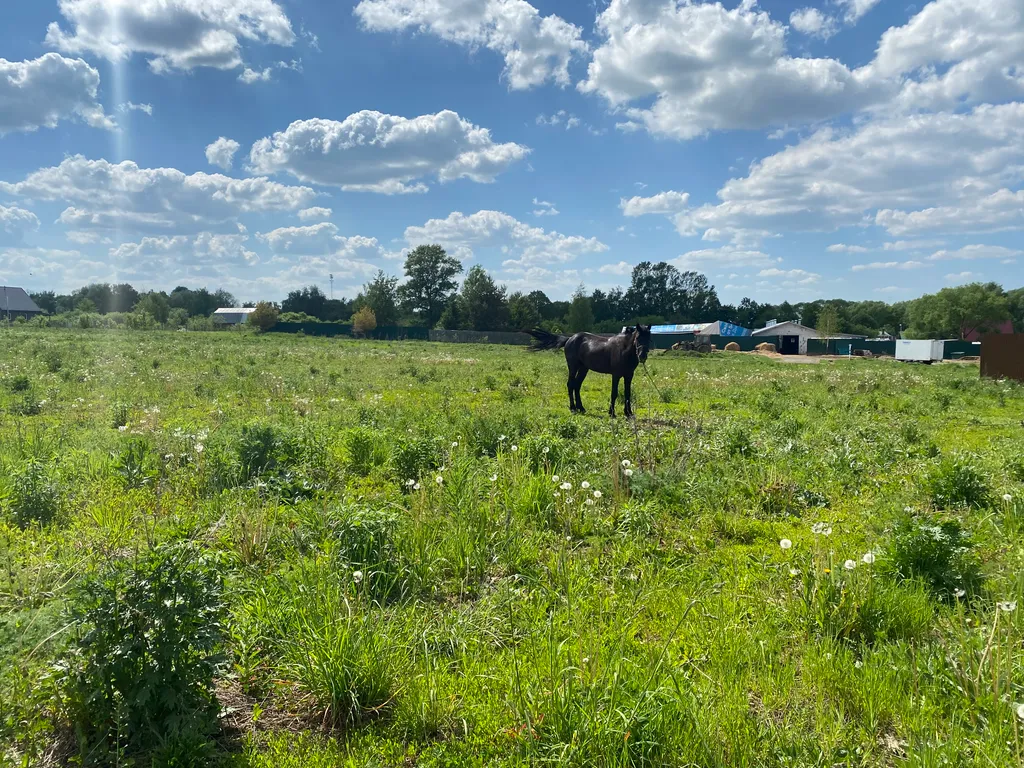 Уютный домик для семьи или компании друзей с банькой и xbox