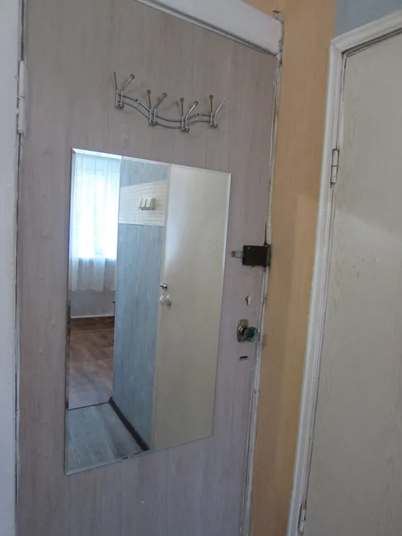 Удобная комната с кухней-прихожей, сан. Узлом, с входной железной дверь