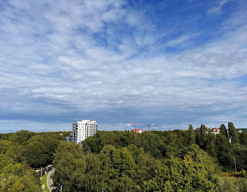 Квартира Апартаменты Море — Светлогорск